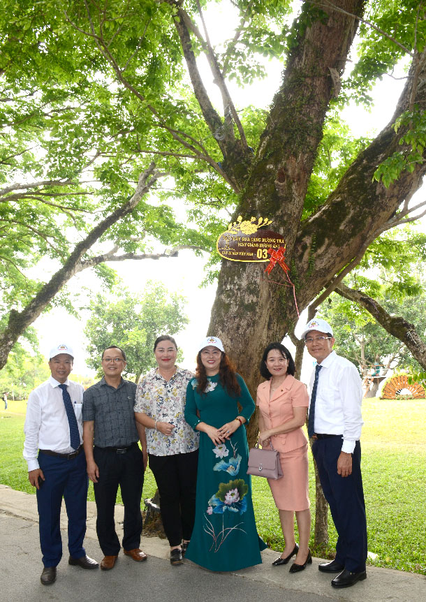 9[-]cây[-]Giáng[-]hương[-]ấn[-]tại[-]Làng[-]sinh[-]thái[-]Hương[-]Trà[-]-[-]Quảng[-]Nam[-]là[-]Cây[-]Di[-]sản[-]Việt[-]Nam